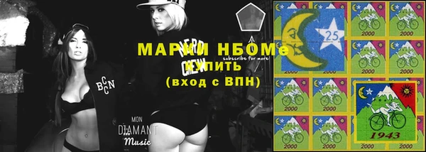 индика Корсаков