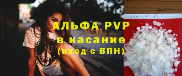 индика Корсаков