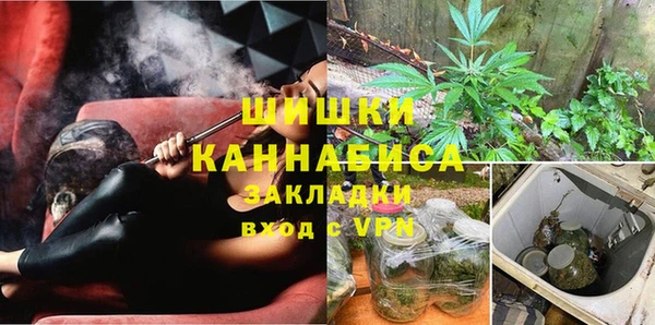 PSILOCYBIN Коряжма