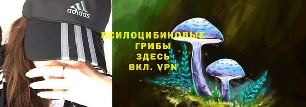 PSILOCYBIN Красноперекопск