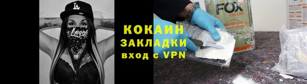 индика Корсаков