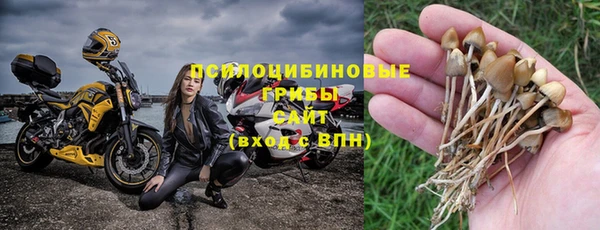 PSILOCYBIN Коряжма