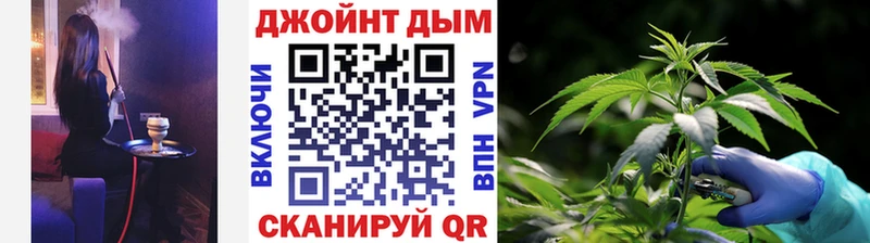 Купить где  Фатеж  Бошки Шишки White Widow 